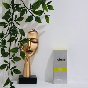 CIMEL MAINTENANCE