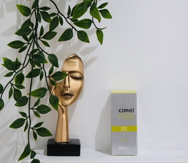 CIMEL MAINTENANCE